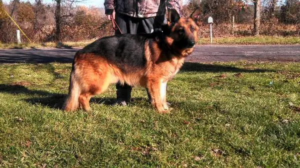 Isaac vom Haupte Spitze