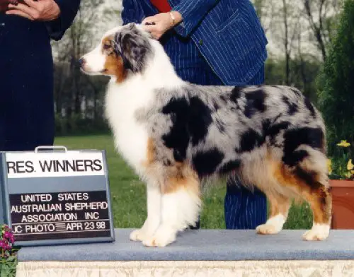 CH Legacy's Promisekeeper