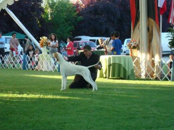 DOBE'S DEN P ANNETTE CALLEJAS