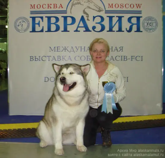 INT CH Prima Ot Filippovoy