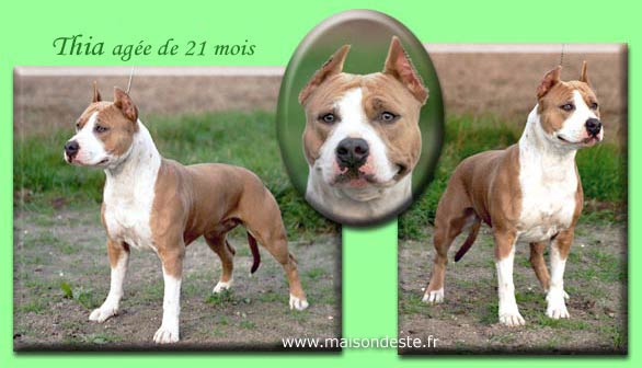 Thia De La Maison D'Este