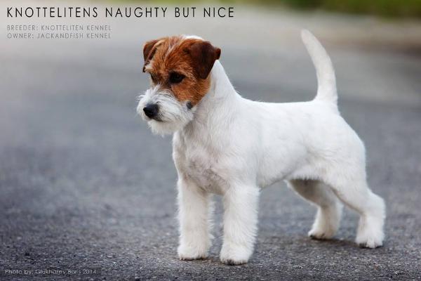 Knotteliten's Naughty But Nice
