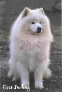Irkuksen Genghis Khan