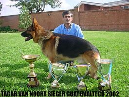 VA1 (GT)+VA 6 (ARG) Tacar van Noort