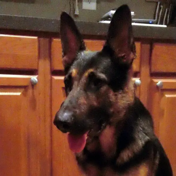 William Von Der Rathbone