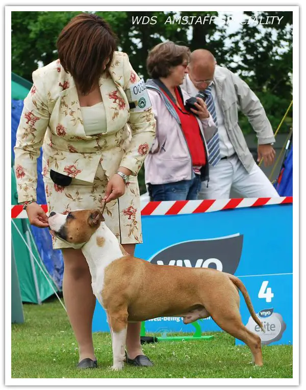 Bakaroro and Itubori Jokey