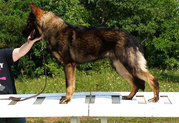 Drako von den Roten Vorbergen