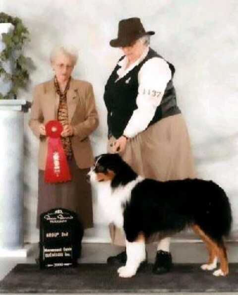 AKC CH Mythical Moonshadow