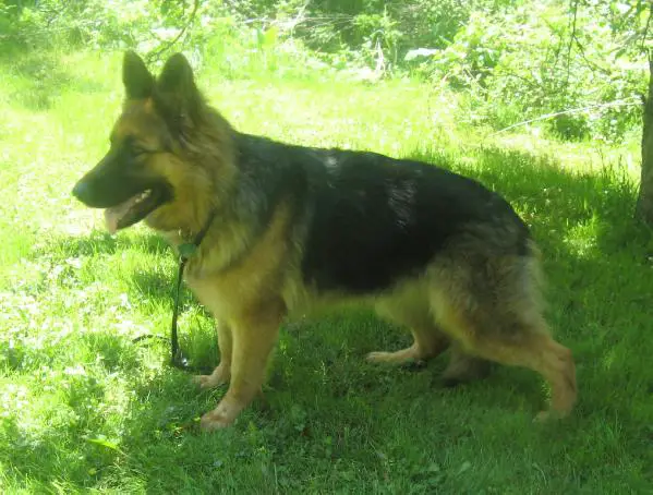 Hanna Von Eshelman Schwitz