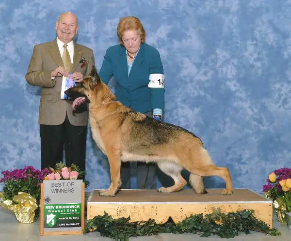 CH Karizma's Tupelo Honey Kaleef