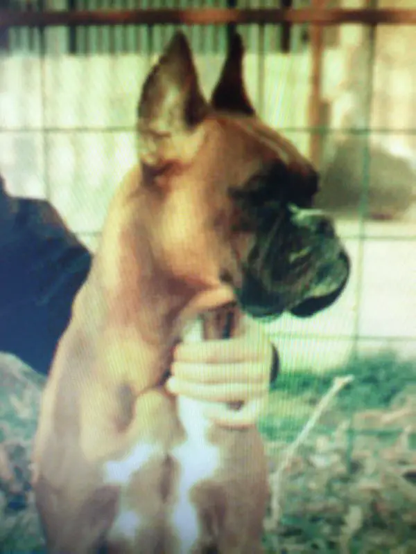 Cera v.d.Hause Mirabo