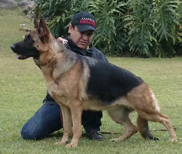 V Malu Von Leaa