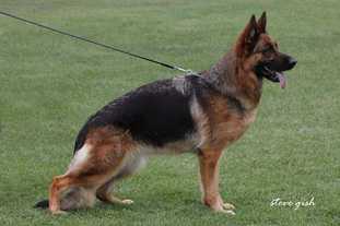 V Tosca von der Wilhelmswarte