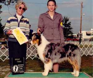 AKC CH. Bojangle's Van Baron