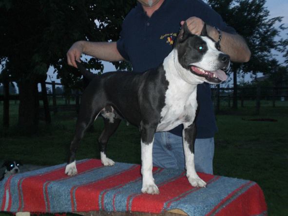 lunablackwhiteforever