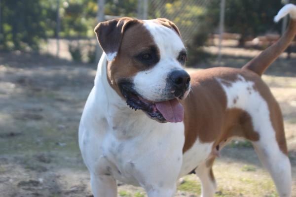 Miss Kaitlynn's 6 Out of 8