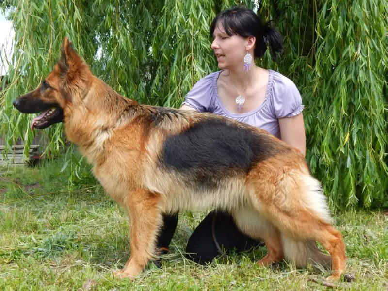 VD1, VT Tiara Lonadard