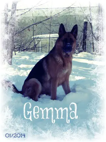 Orla vom Stieglerhof