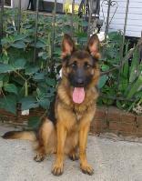 SG1(BOL) Whisky de Valle Grande