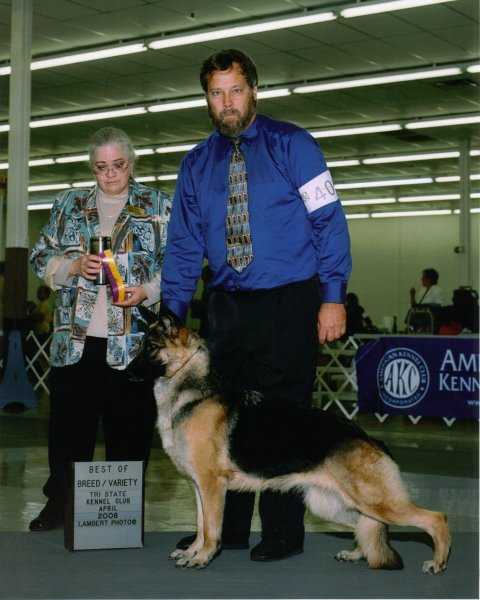 GCH CH (US) Cimarron's Here Come's My Girl