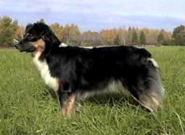 SRN Eagles Lightng Dos Te work