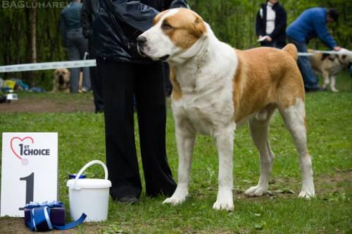 Ortodoks Konvent Hartydzem