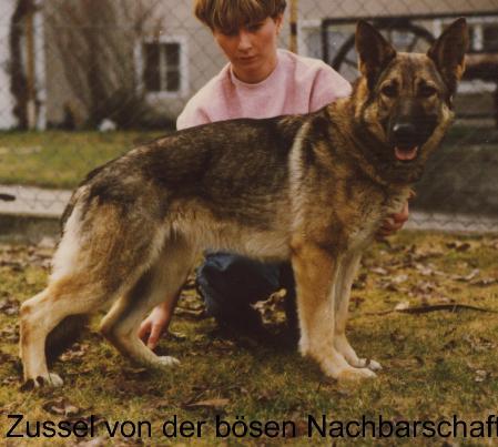 Zussel von der bösen Nachbarschaft