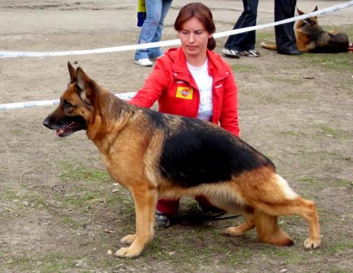 CH(KAZ/KG) VA2 Froni al Jura