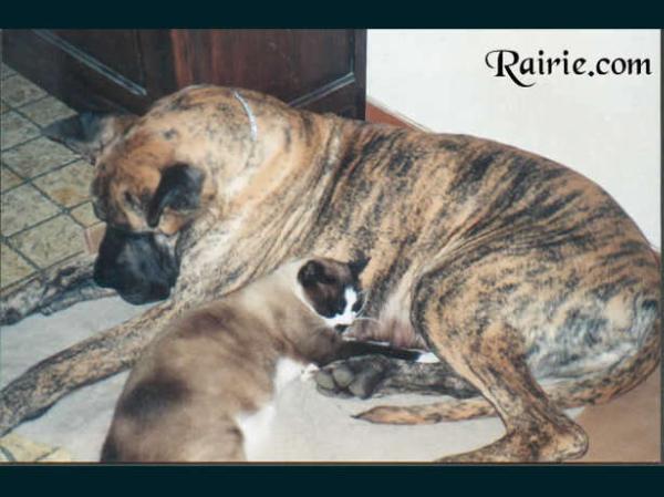 Dayana Des Petites Vernieres