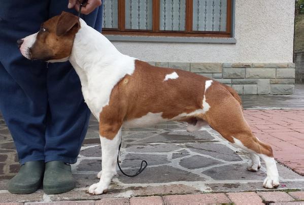 East Coast Red Rock Llewelyn Moss