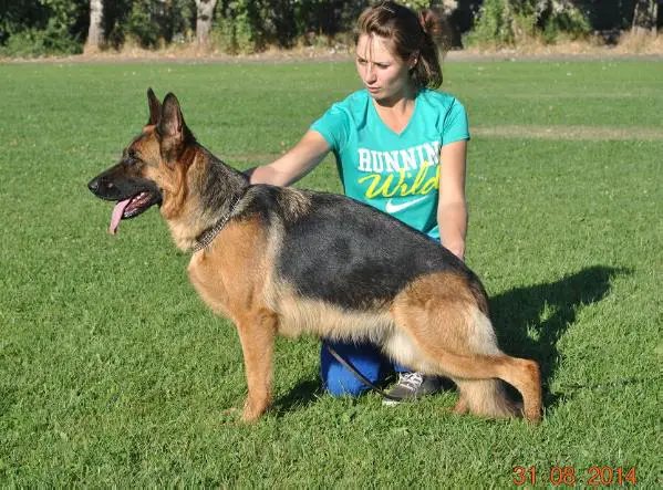 Zaskia