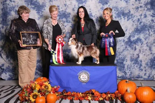 INT CH. Pleasant Woods Concho