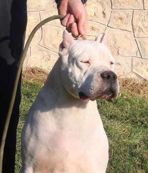 AUDACITY FE DE INDIO