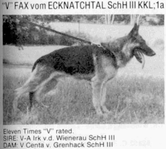 Fax vom Ecknachtal
