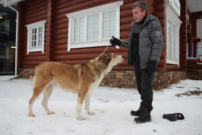 3CAC Gardian Enzhel Evrika