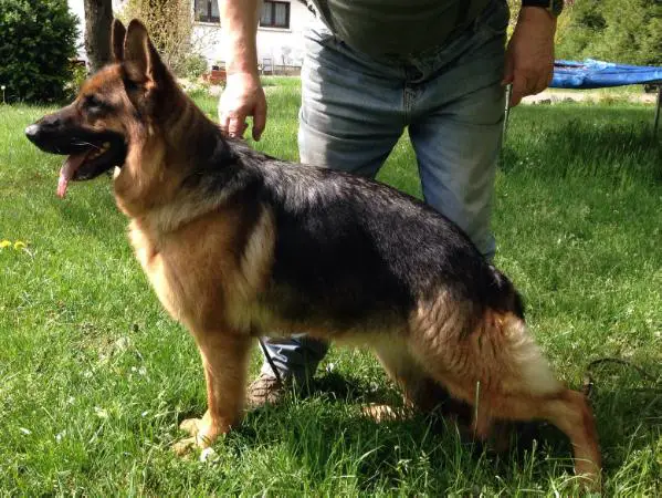 Fabia du Haut Mansard