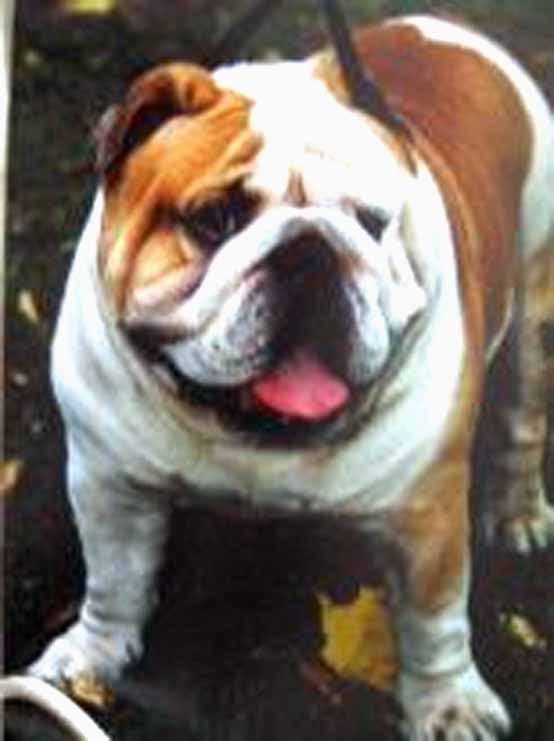 Lunniy Svet Charmer Crem Brule