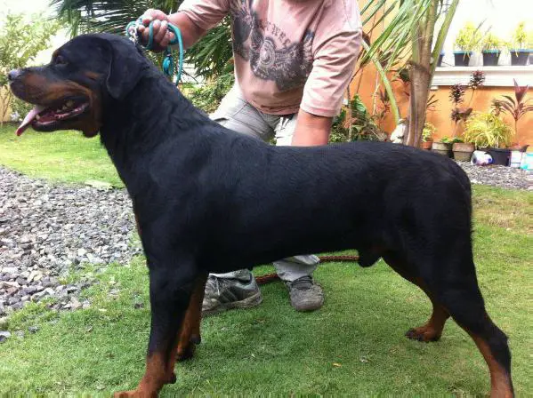 ADOLF ZWINGER VOM SAYABIZ