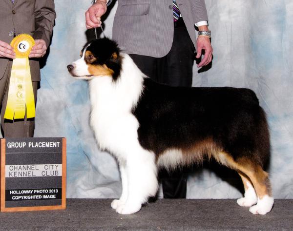 GCH Briarbrooks All Rights Reserved