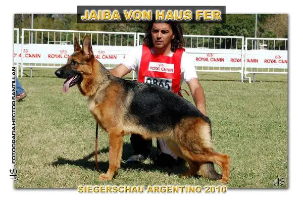 Jaiba von haus Fer