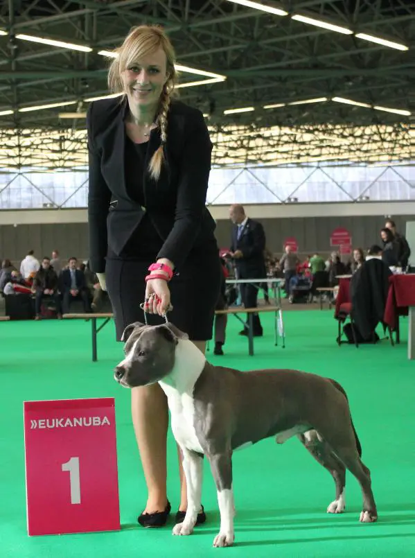 CH The Gladiator From Nature's Finest