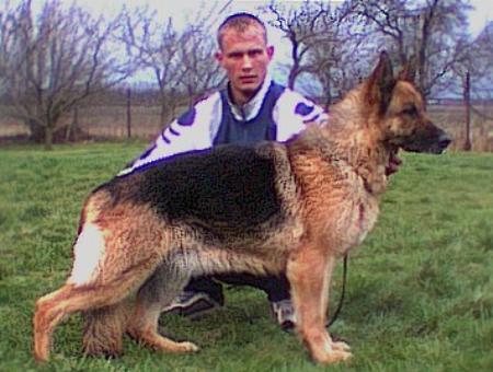 V Amanda vom Baruther Land