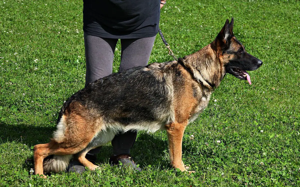 V Shannel v. Nord Traum