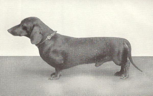 Siegfried von Lichtenstein