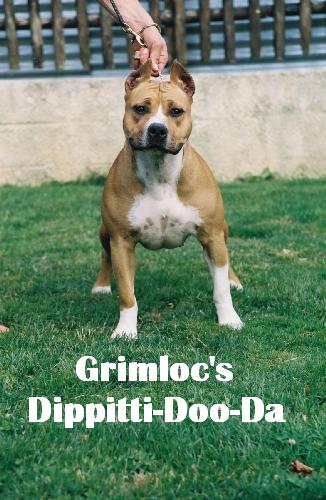 Grimloc's Dippiti-Doo-Da