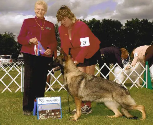 Adelhunds Masquerade v Krze