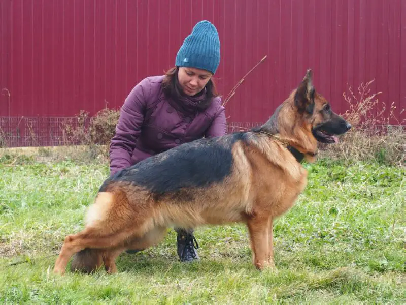 Ofra von der Urbecke