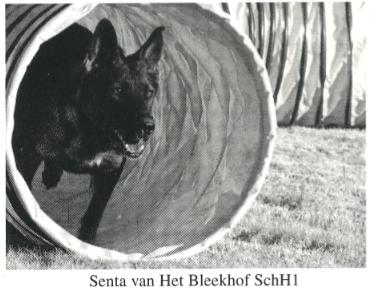 Senta Van Het Bleekhof