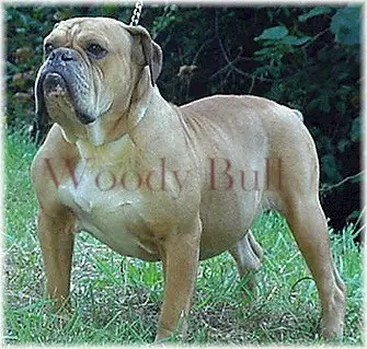Gallant Farms' Rusty