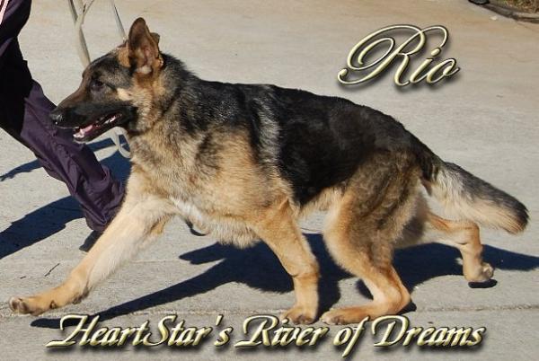 HeartStar's River of Dreams